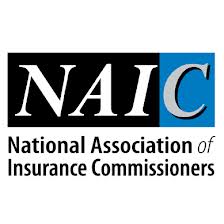 NAIC Report