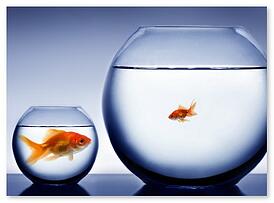 small group vs large group insurnce