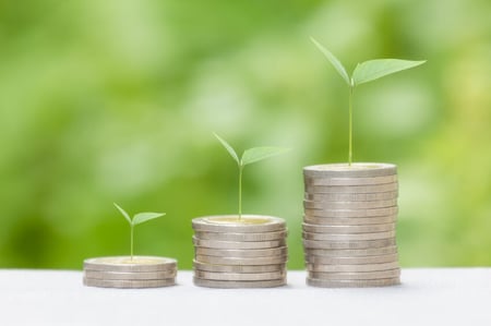 Employee stock options for small business