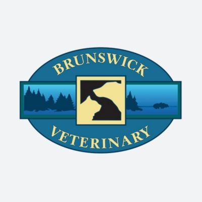 Brunswick Veterinary Clinic Case Study
