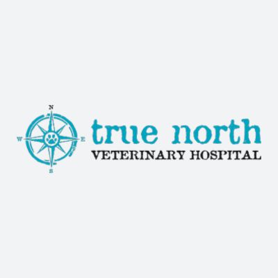 True North Veterinary Hospital Case Study