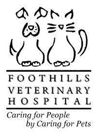 Foothills Vet Hospital